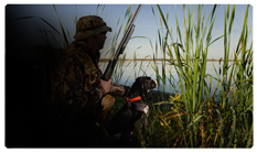 DNSEMP-C-312 Gone Hunting (Duck with Dog)